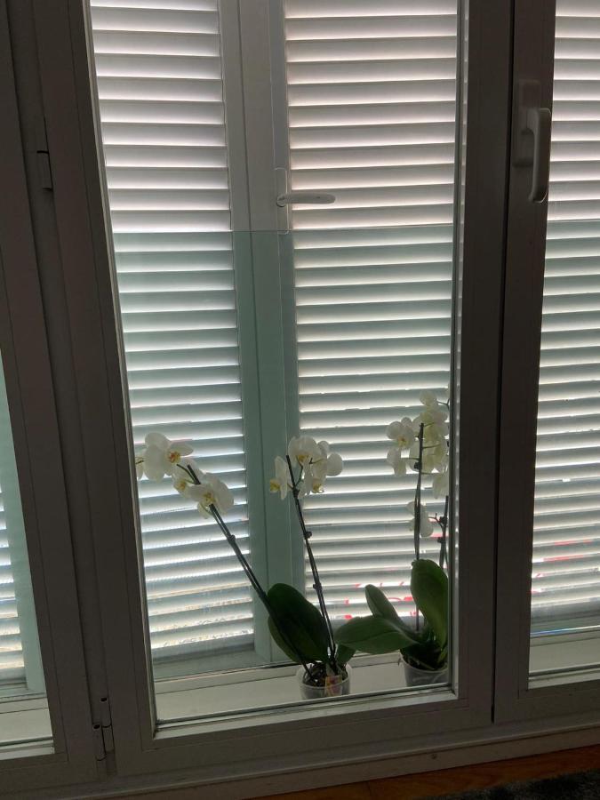 Estudio Parking Centro Puerta Del Sol Βίγκο Εξωτερικό φωτογραφία